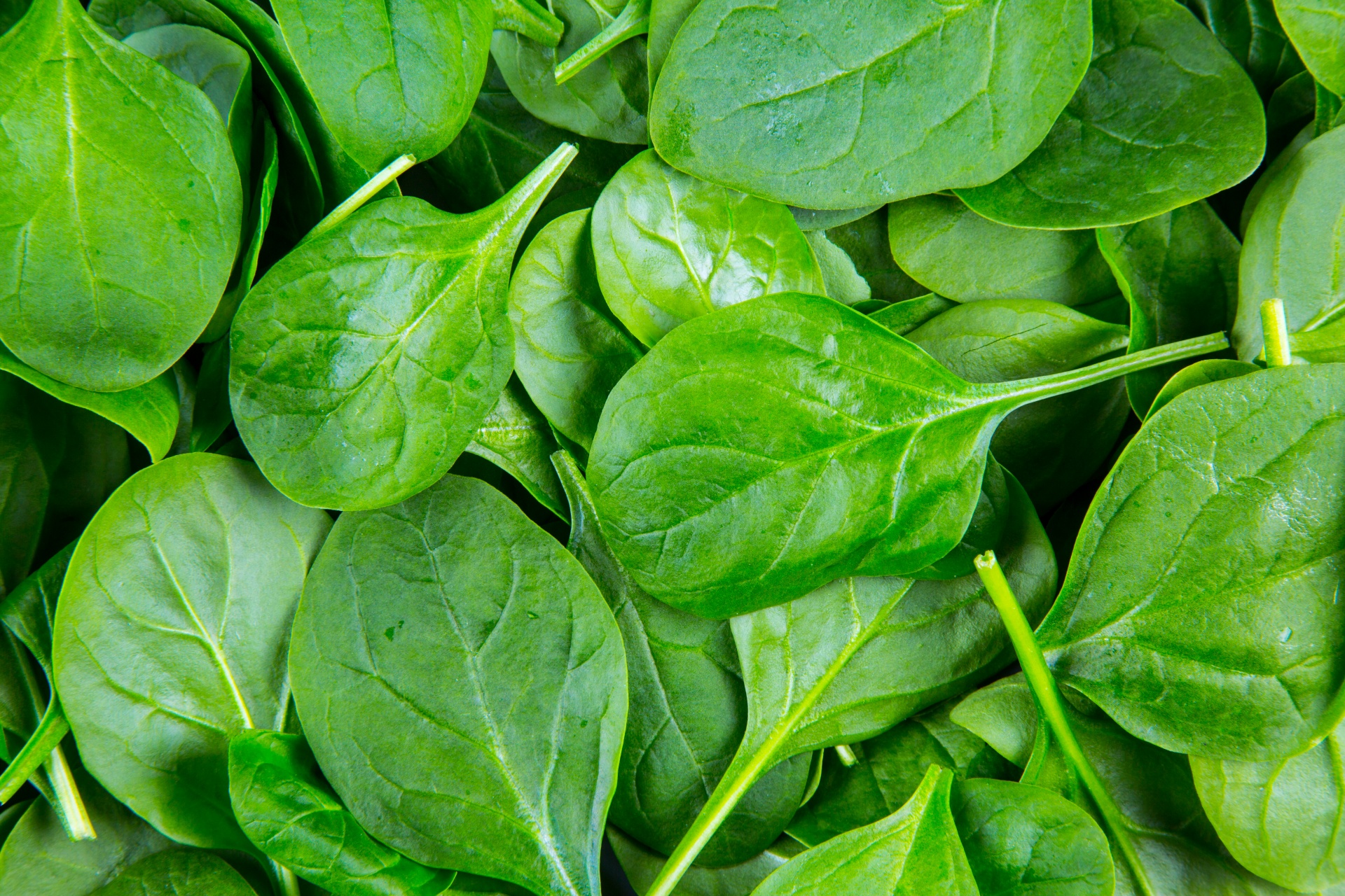 Superfood: Spinach