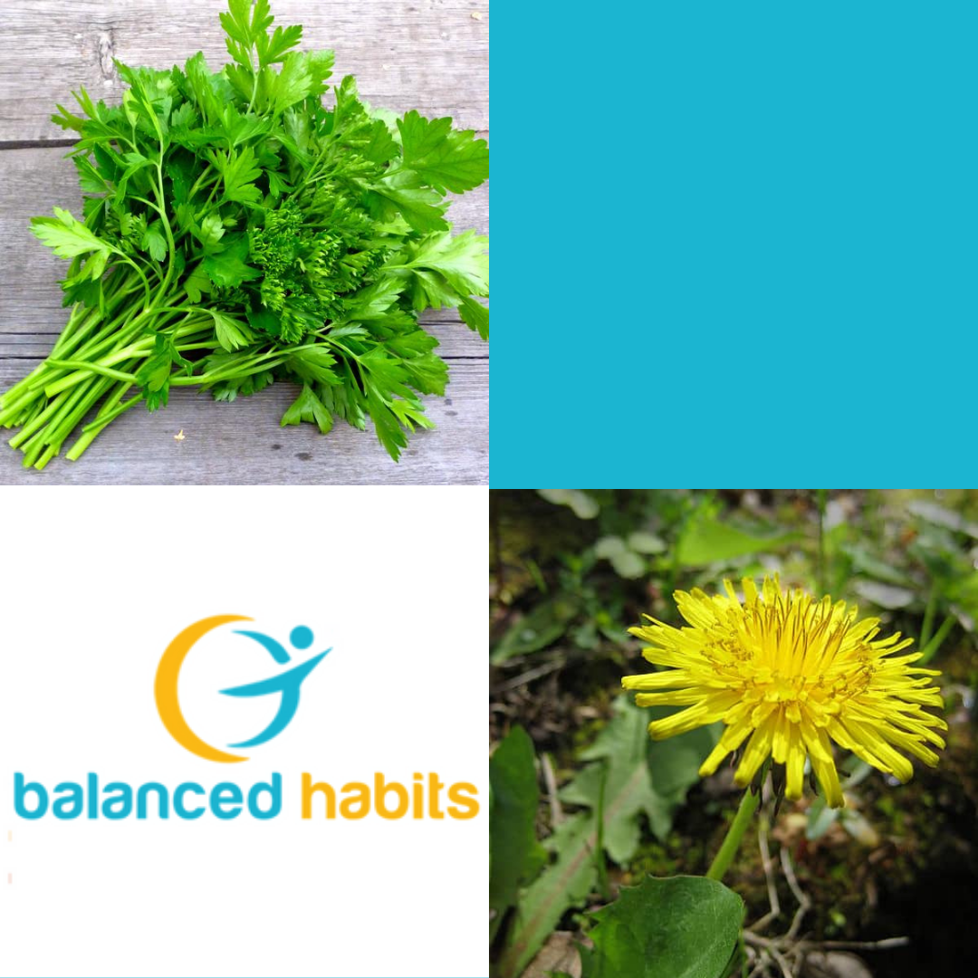 Spring into April with these herbs!