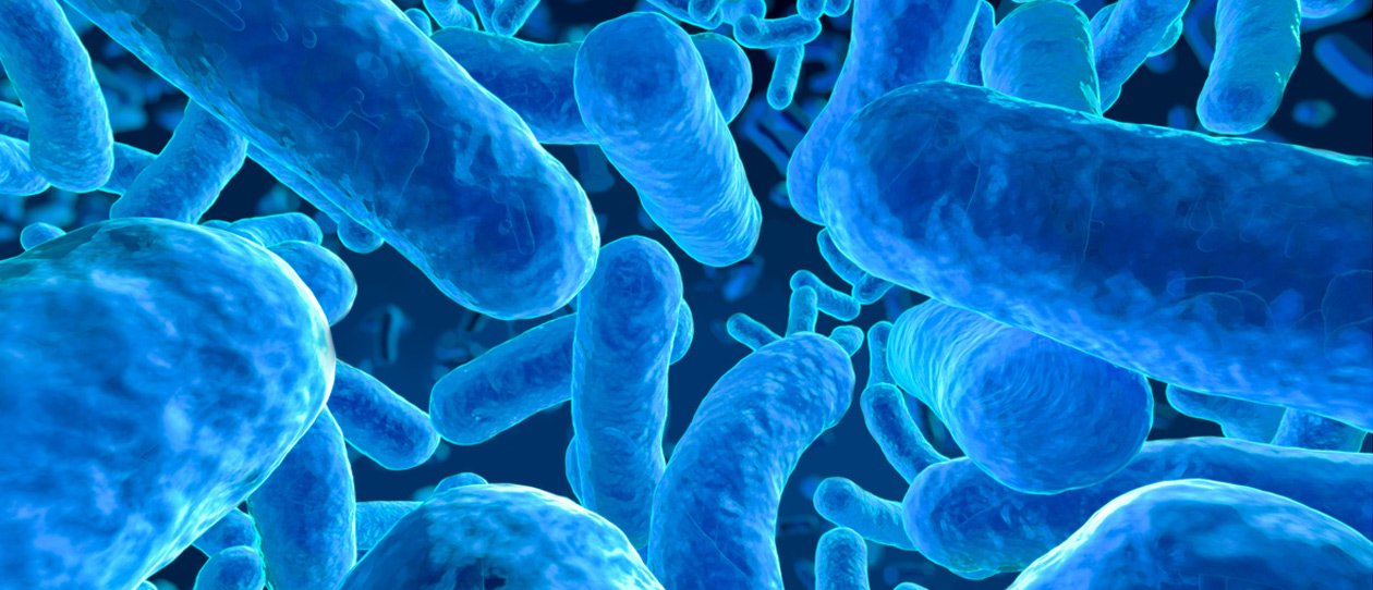The Gut Microbiome and Diet